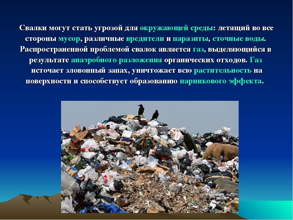Какой вред наносит экономика экологии. Бытовые отходы. Причины бытовых отходов. Бытовые отходы экология. Бытовые отходы и их утилизация.